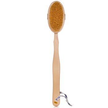Body Detox Skin Brush  1pc