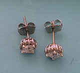 Devon's Asscher Cut CZ Stud Earrings- 1 TCW