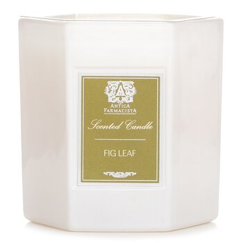Candle - Fig Leaf - 255g/9oz