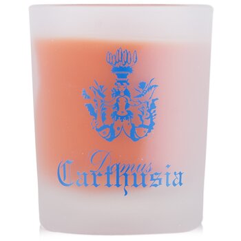 Scented Candle - Corallium - 70g/2.46oz