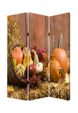 72" Brown Canvas Folding Three Panel Screen Room Divider