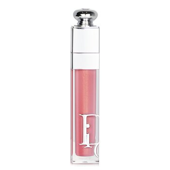Addict Lip Maximizer Gloss - # 012 Rosewood - 6ml/0.2oz