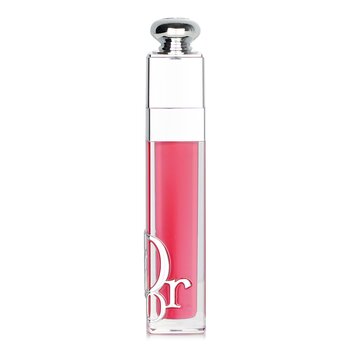 Addict Lip Maximizer Gloss - # 009 Intense Rosewood - 6ml/0.2oz