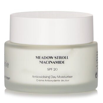 Antioxidising Day Moisturiser SPF 20 - 45ml/1.52oz