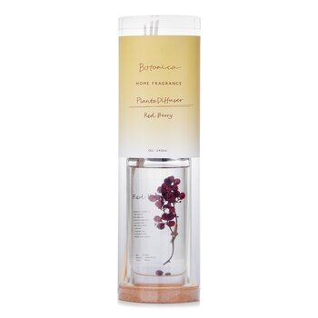 Home Fragrance Plante Diffuser - Red Berry - 145ml/4.9oz