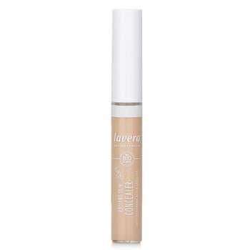 Radiant Skin Concealer - # 01 Ivory (Exp. Date 31 OCT 2026) - 5.5ml/0.1oz