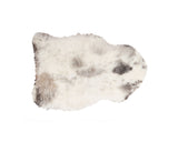 2' X 3' Ivory Black and Gray Spotted Shag Sheepskin Area Rug