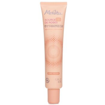 Source De Roses BB 6 in 1 Perfecting Care - # Golden - 40ml/1.3oz