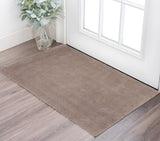 2' X 4' Beige Hand Woven Area Rug