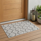 3' X 5' Gray Geometric Indoor Outdoor Area Rug