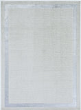 3' X 5' Gray and Ivory Area Rug