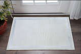 3' X 5' Gray and Ivory Area Rug