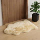 2' X 3' Beige Shag Area Rug
