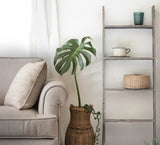 60" Gray Rustic Five Step Wood Ladder Shelf