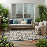 5' X 8' Blue And Ivory Indoor Outdoor Area Rug