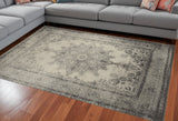 7' X 10' Ivory And Gray Pale Medallion Area Rug