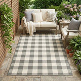 4' X 6' Gray and Ivory Indoor Outdoor Area Rug