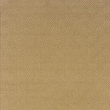 2' X 4' Beige Indoor Outdoor Area Rug