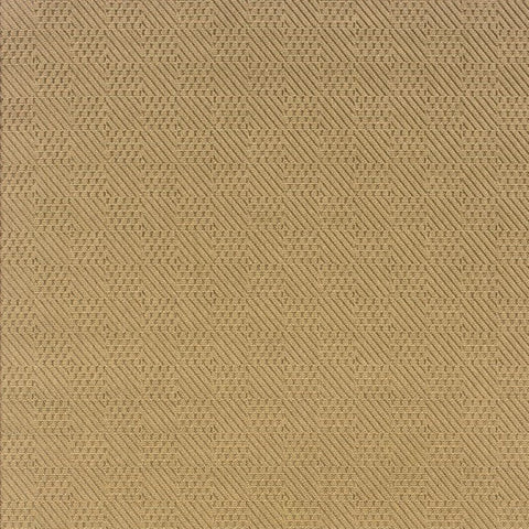2' X 4' Beige Indoor Outdoor Area Rug