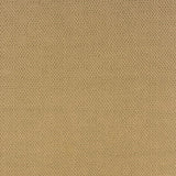 2' X 4' Beige Indoor Outdoor Area Rug