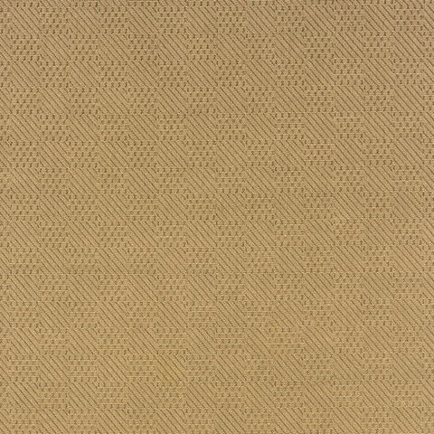 2' X 4' Beige Indoor Outdoor Area Rug