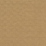 2' X 4' Beige And Black Indoor Outdoor Area Rug