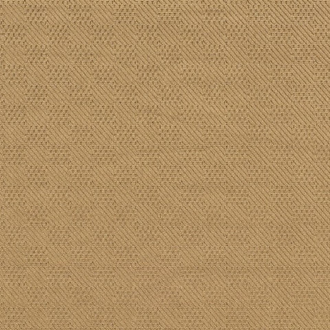 2' X 4' Beige And Black Indoor Outdoor Area Rug