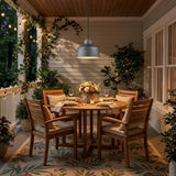 Barnes 1-Light Gray Convertible Pendant