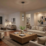 Glass and Bronze Mesh Shade Hanging Light