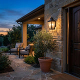 Black And Clear Two Light Frosted Dimmable Outdoor Hanging Lights With Black And Clear Shades