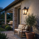 Black And Clear Two Light Seeded Dimmable Outdoor Hanging Lights With Black And Clear Shades