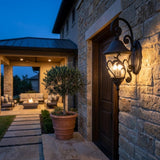 Black And Clear Three Light Frosted Dimmable Outdoor Hanging Lights With Black And Clear Shades