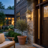 Two Light Transparent Dimmable Outdoor Hanging Lights With Brass And Clear Shades