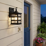 Glass panel Matte Black Outdoor Cage Light