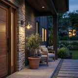 Brass Seeded Dimmable Outdoor Hanging Light With Brass Shades