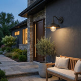 Black Seeded Dimmable Outdoor Hanging Light With Black Shades