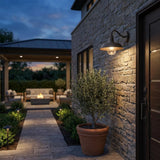 Black Seeded Dimmable Outdoor Hanging Light With Black Shades