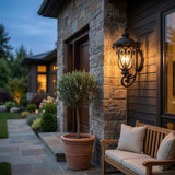 Black And Clear Seeded Dimmable Outdoor Hanging Light With Black And Clear Shades