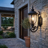Black And Clear Seeded Dimmable Outdoor Hanging Light With Black And Clear Shades