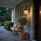 Black And Clear Seeded Dimmable Outdoor Hanging Light With Black And Clear Shades
