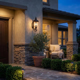 Black And Clear Seeded Dimmable Outdoor Hanging Light With Black And Clear Shades