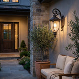 Black And Clear Seeded Dimmable Outdoor Hanging Light With Black And Clear Shades