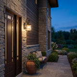 Black And Clear Seeded Dimmable Outdoor Hanging Light With Black And Clear Shades