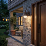Dark Brown And White Frosted Dimmable Outdoor Hanging Light With Dark Brown And White Shades