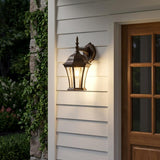 Dark Brown Hanging Carousel Lantern Wall Light