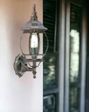 Dark Brown Glass Globe Wall Light
