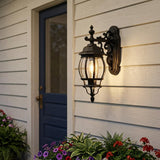Matte Black Hanging Glass Globe Wall Light