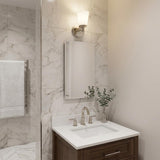Silver Wall Light with Frosted Glass Shade