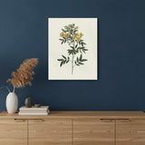 Singular Yellow Blossom Branch Unframed Print Wall Art