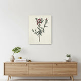 Singular Red Blossom Branch Unframed Print Wall Art